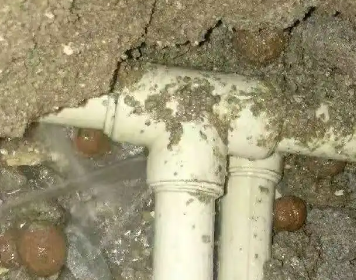 大石桥测漏水多少钱