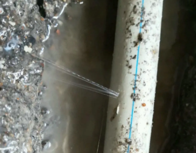 大石桥测漏水哪家好