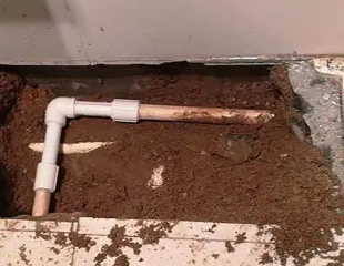 大石桥测漏水哪家好