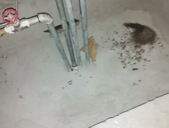 大石桥卫生间测漏水价格明细