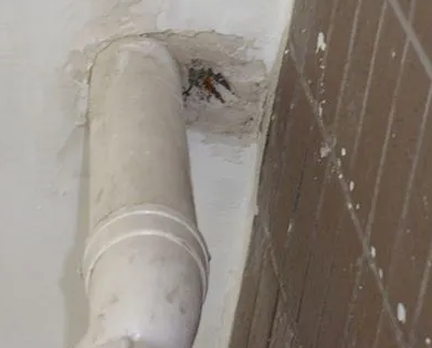 大石桥漏水检测哪家好